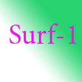 surf-1